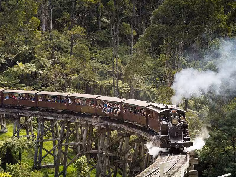 Yarra Valley & Dandenong Ranges