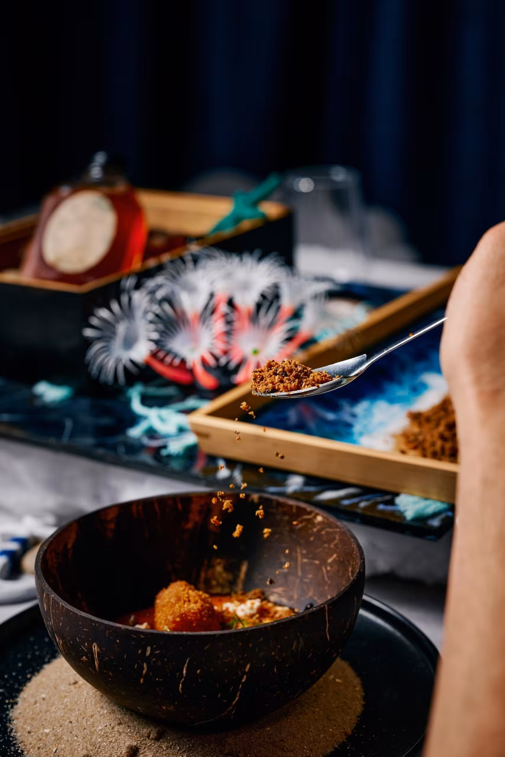 Shelly dining launches in Caulfield