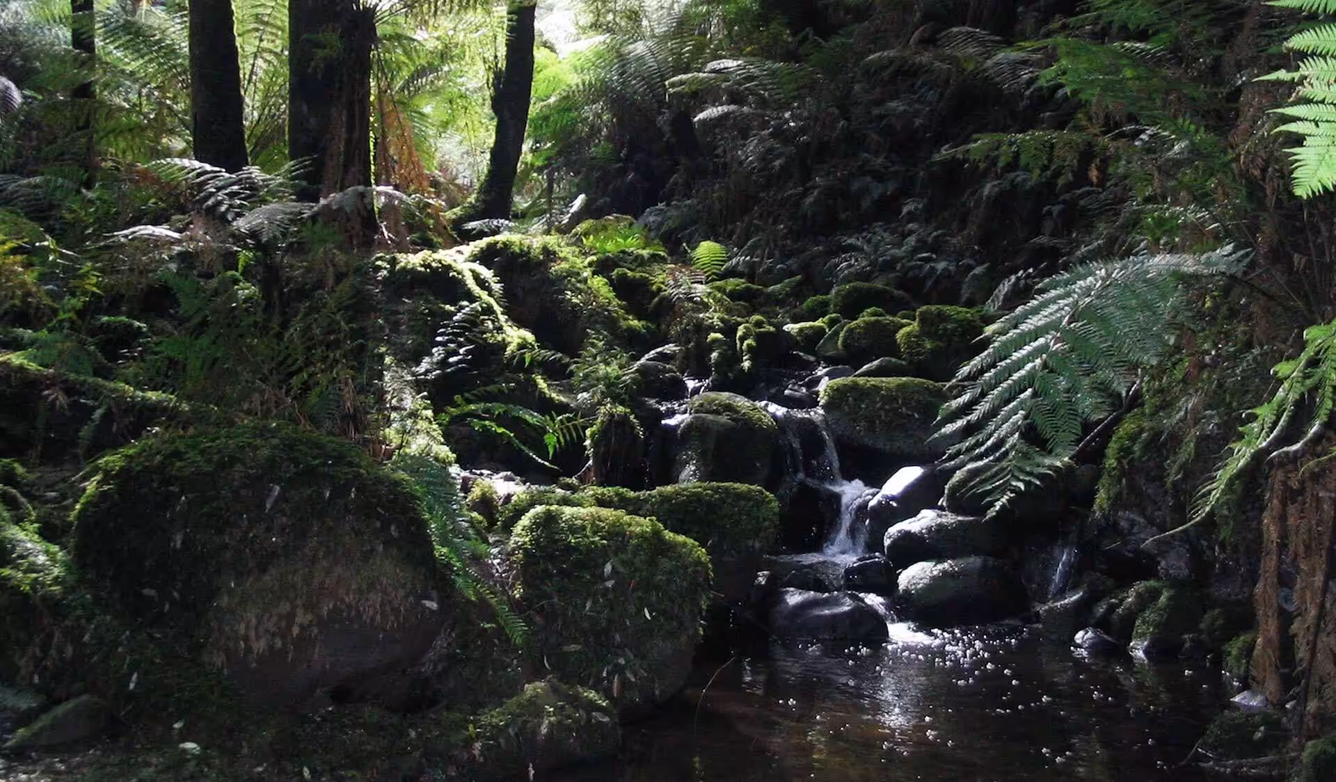 Sherbrooke Falls Walk