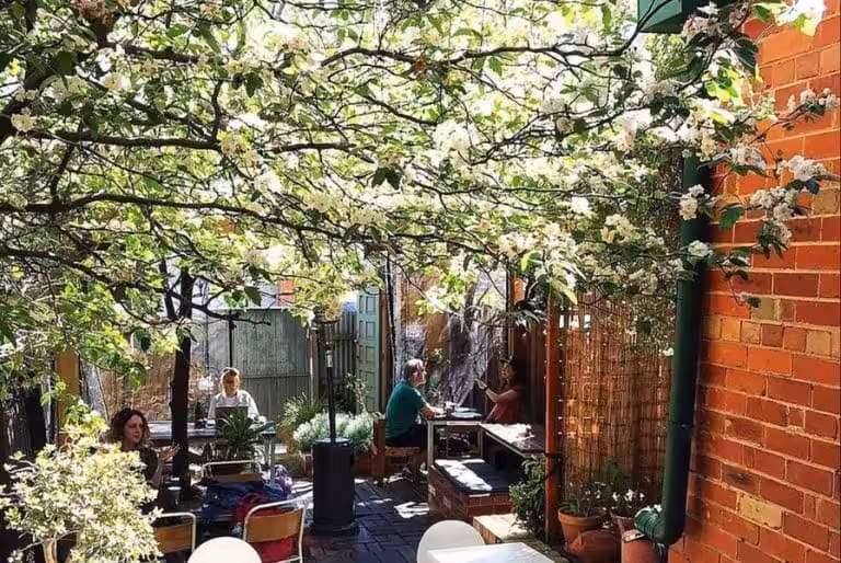 Twenty and Six Espresso