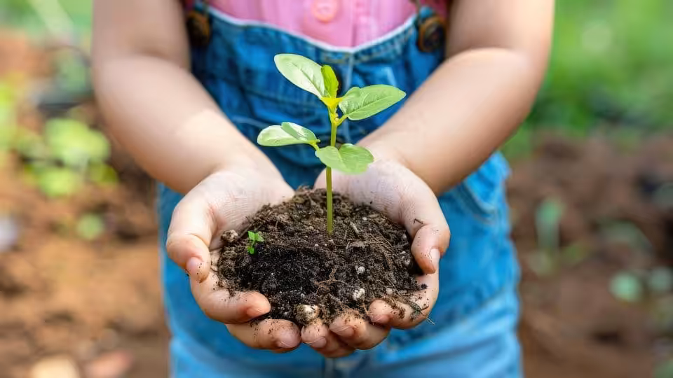 Family Fun Club with Little Sprouts – Williams Landing Library Lounge