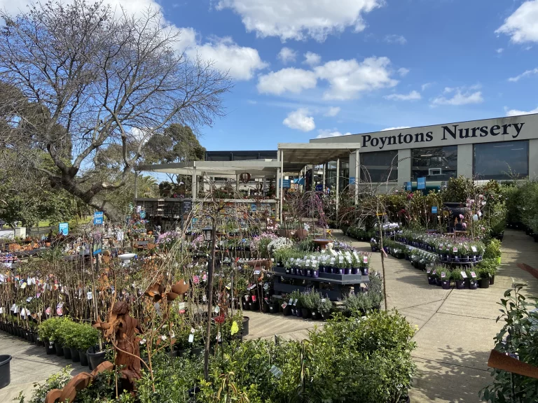 Poyntons Boulevard Cafe
