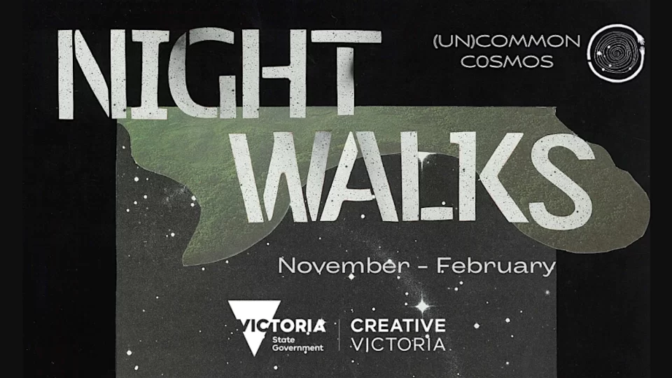 Dark Skies Shine Bright – Night Walks