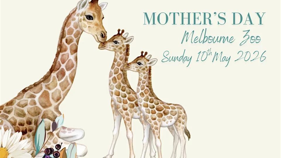 Mother’s Day High Tea at Melbourne Zoo