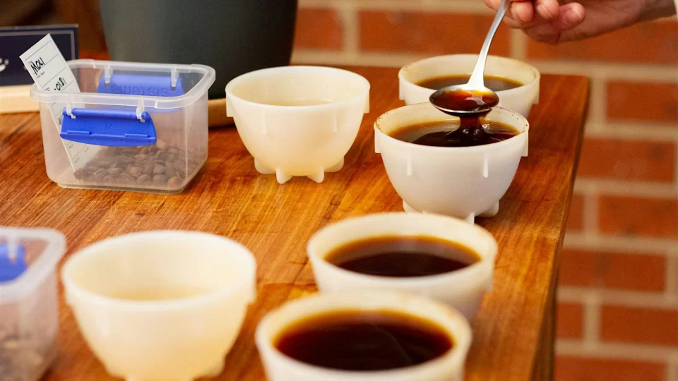 Rumble Coffee Roasters Coffee Cupping