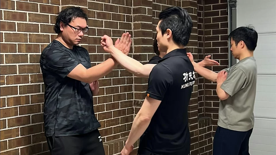 Wing Chun Beginner Lesson 成人詠春體驗課程