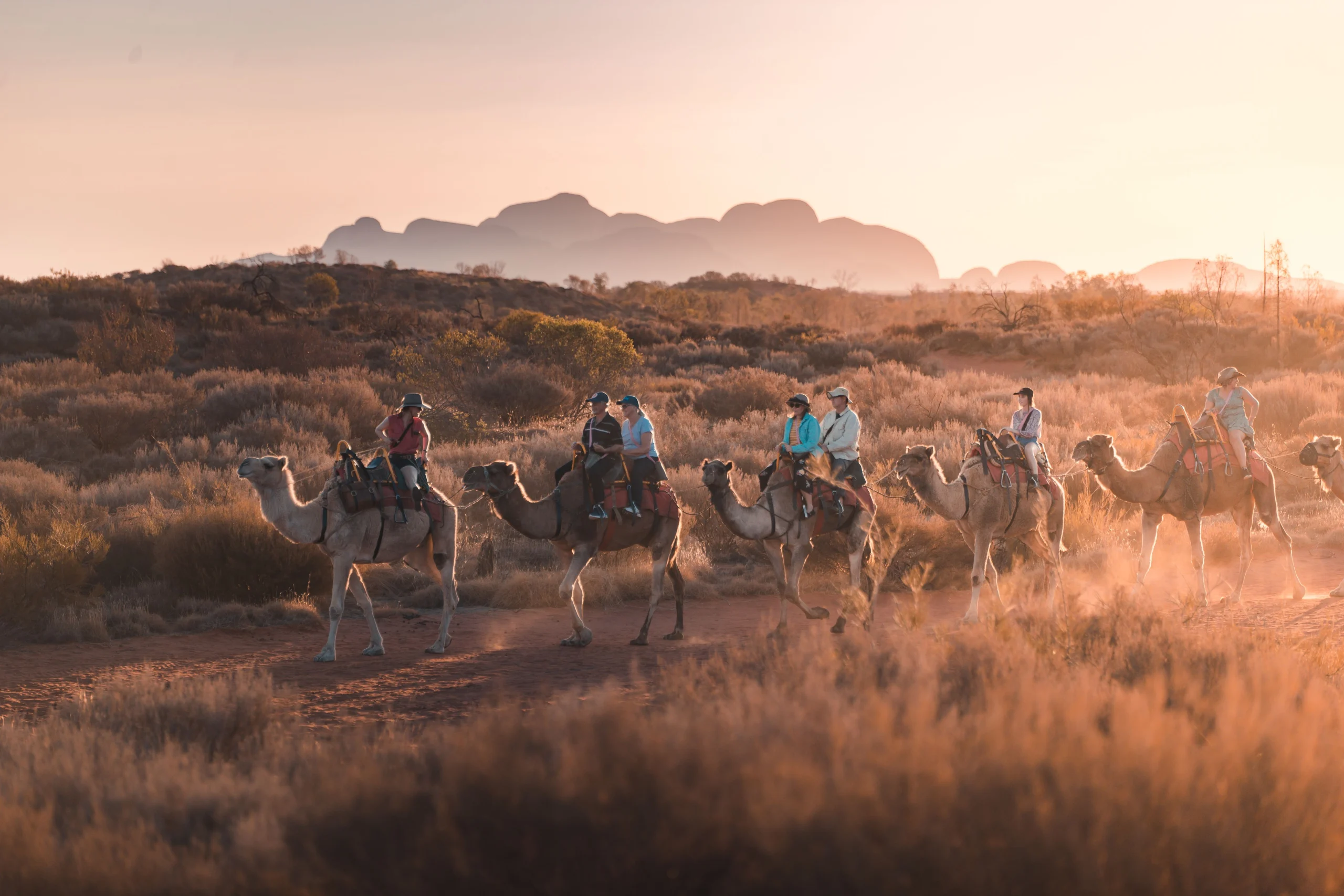 Uluru Camel Tours - Image Supplied