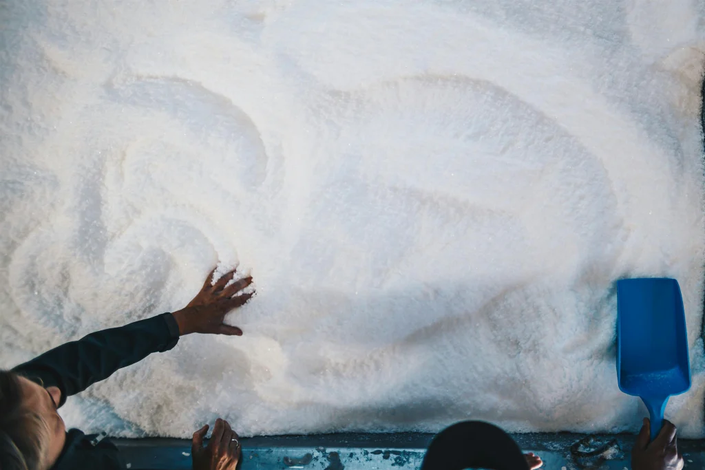 Tasman Sea Salt – Salt Sommelier Class