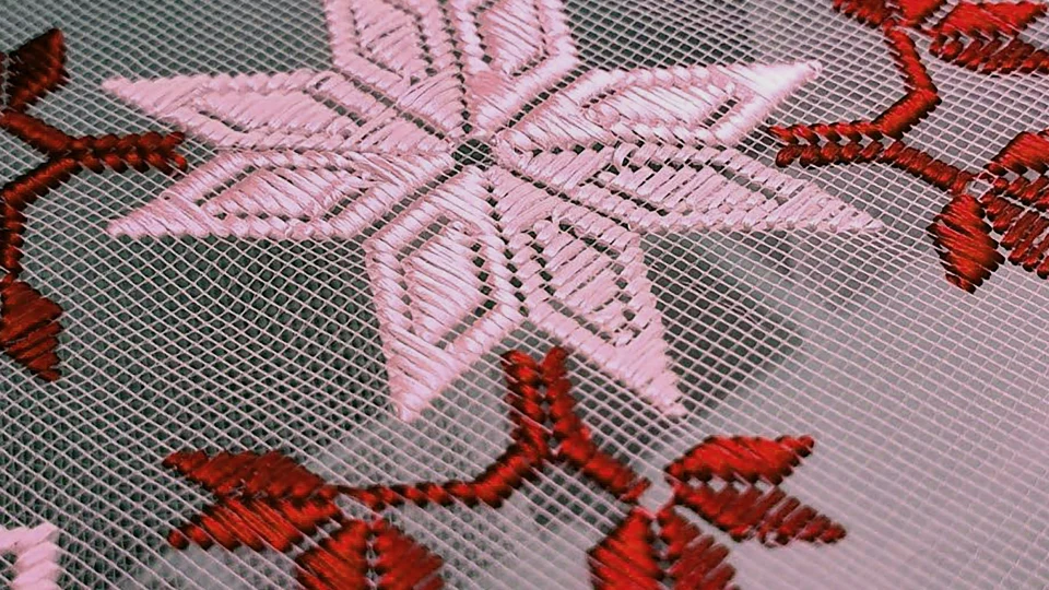 Jalli Doozi: Embroidery Workshop