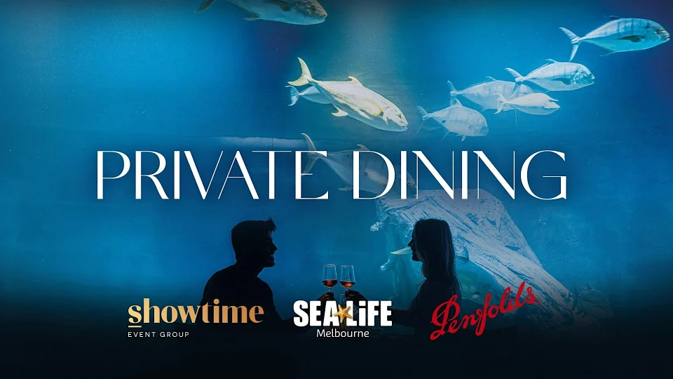 Private Dining at SEA LIFE Melbourne presented by Showtime Event Group