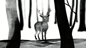 Environmental Film Festival – Melbourne’s premiere showcase of environmental cinema: photo 1